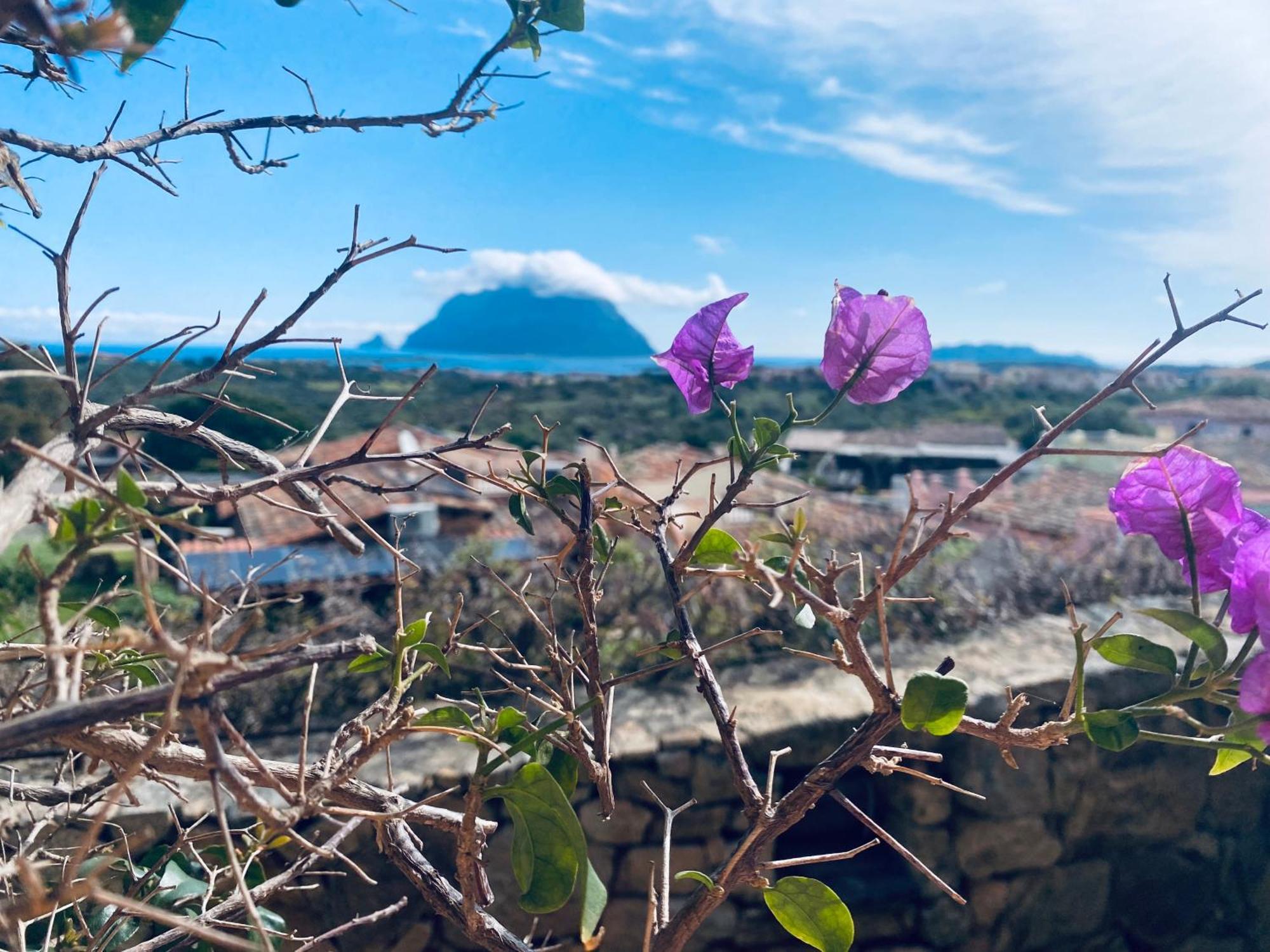 Villa con vista Porto San Paolo Porto San Paolo  Esterno foto